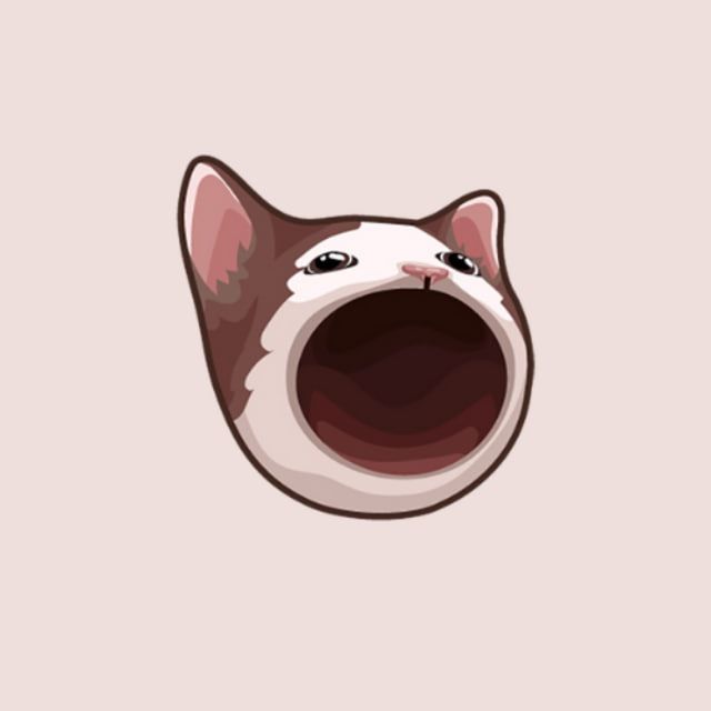 Popcat token image